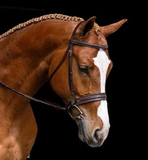 KL Select Red Barn Hudson Bridle