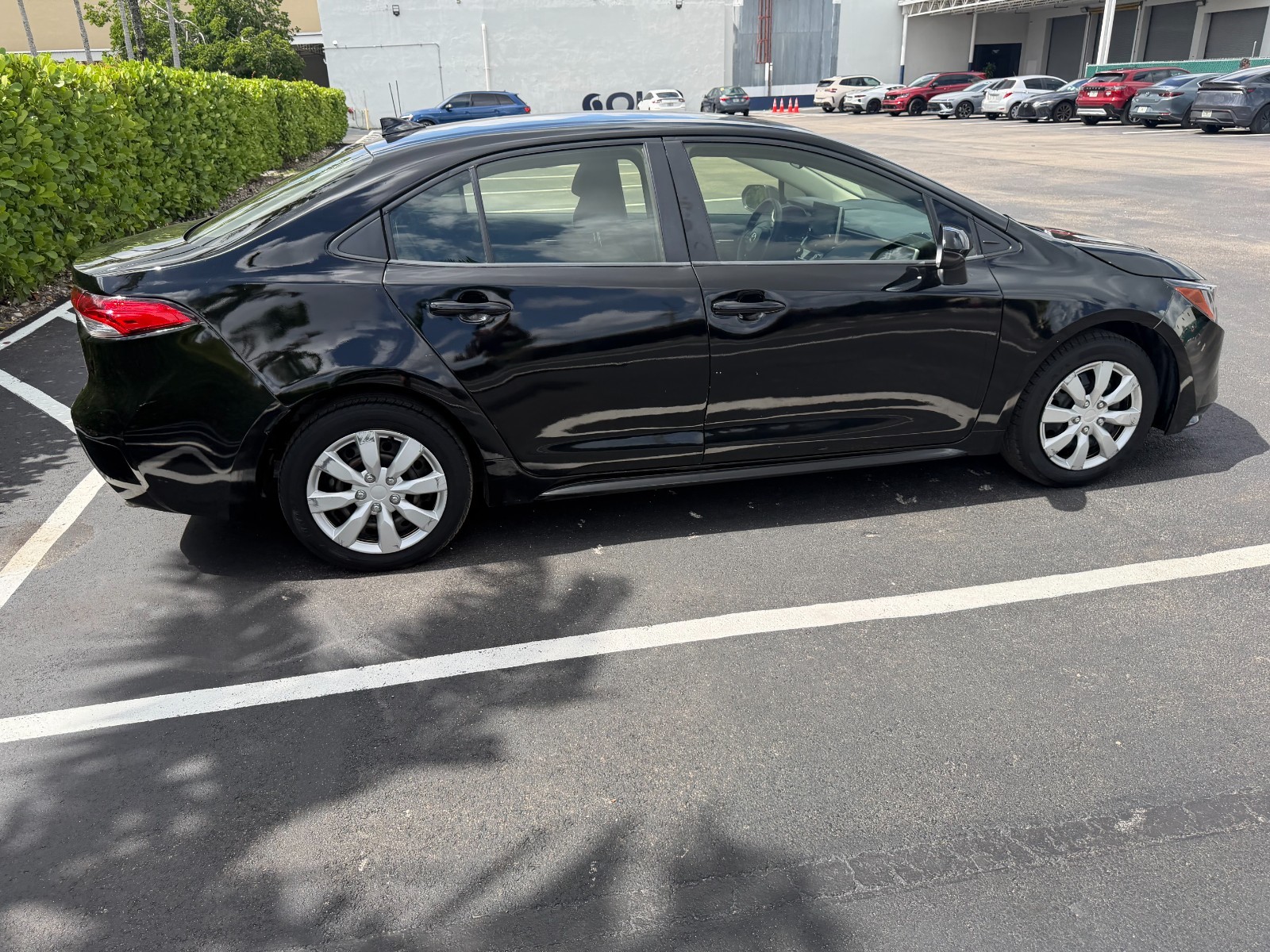 Toyota Corolla - Image 10