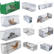Live Animal Trap for Raccoons Rats Heavy Duty Steel Traps Humane Catch & Release