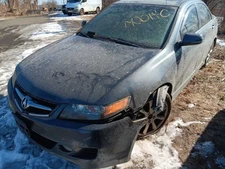 Trunk/Hatch/Tailgate Fits 06-08 TSX 12389