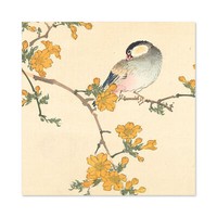 Kono Bairei Singvogel Auf BlüHendem Zweig GroßEr Leinwanddruck 61X61 Cm