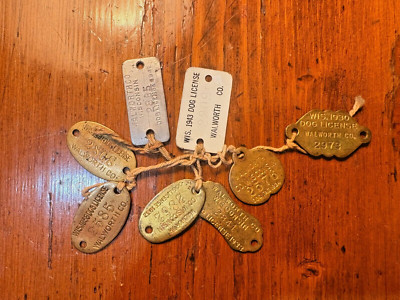Lot of Vintage / Antique Brass Dog Tax Tags Walworth Co Wisconsin 1924 to 1940's