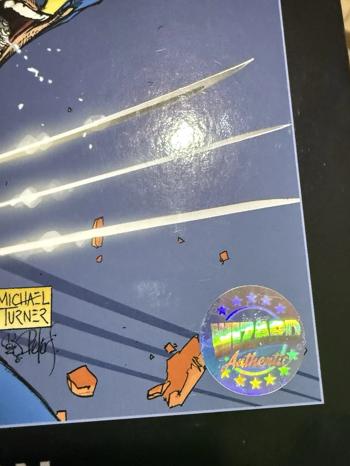 Michael Turner: The Ultimate Tribute Edition Gallery Edition! ULTRA RARE #29/50 - Image 3 of 4