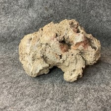 Missouri Druzy Quartz Natural Fossilized Coral Stone Display Collectible