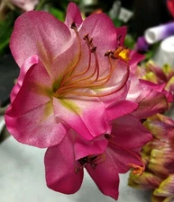 Artificial amaryllis stem. silk flower floral arrangements.