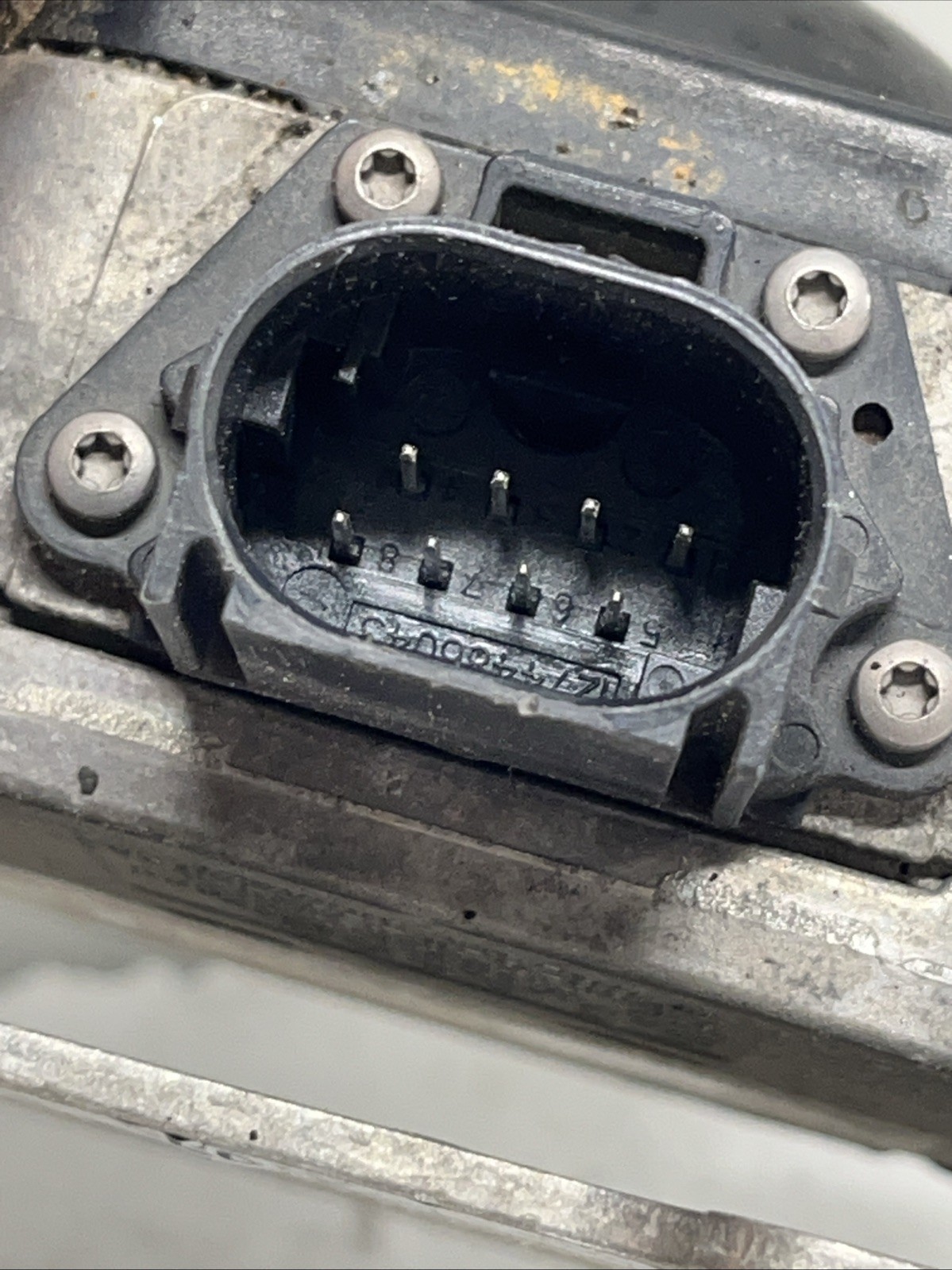 Picture 5 of 5