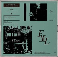SEVENTEEN FML 10th Mini Album FALLEN, MISFIT, LOST/CD+Book+2 Card+etc+Pre-Order