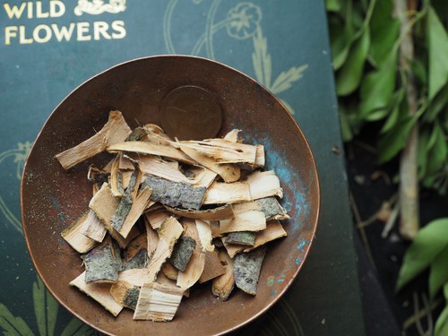 English Tree Barks for Incense & Spell makings - Wicca, Pagan, Magic, Witchcraft - Picture 26 of 96