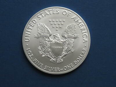 2020 American Silver Eagle US Mint Walking Liberty Coin 1oz .999
