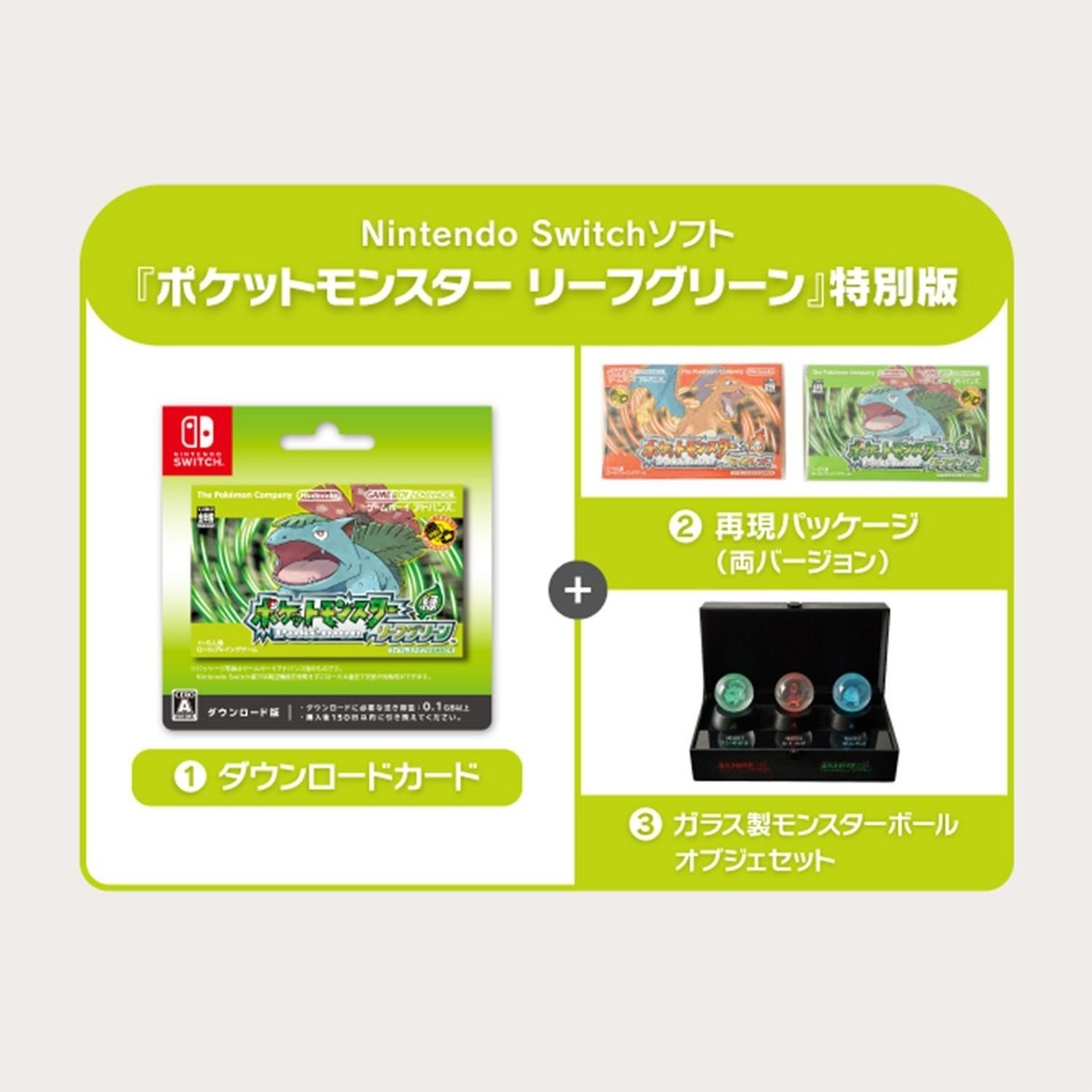Nintendo Switch Pokemon FireRed Leaf Green Special Edition 30th