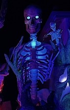 Home Depot Skelly 12 Ft Giant Skeleton With Color Changing Lighting/decor Bag