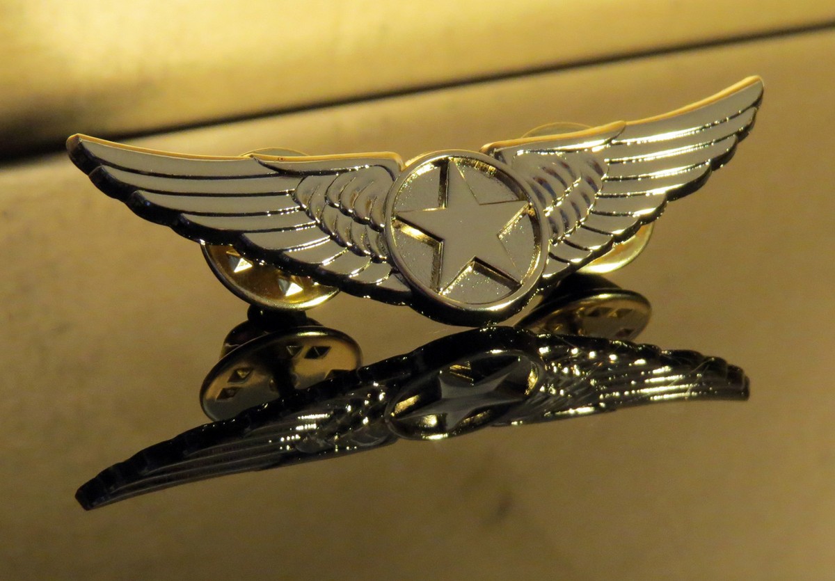 IDF イスラエル空軍　バージ ピン Badge Pin B IDF イスラエル空軍 バージ ピン Badge Pin B（badge
