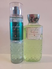 2 Two Items Set: " GINGHAM FRESH" Fragrance Mist Shower Gel Bath Body Works.