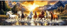 Large Horse Paint by Numbers Kit for Adults Animal DIY Acrylic Art Painting