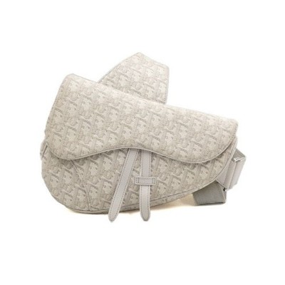 Dior Beige Satteltasche Unisex Crossbody 1ADPO093YZY H25E 152316031