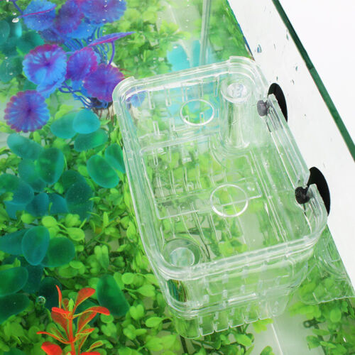 1x Fish Breeding Box Shrimp Hatchery Fish Tank Incubator UK Aquarium Tool UK - Picture 5 of 10