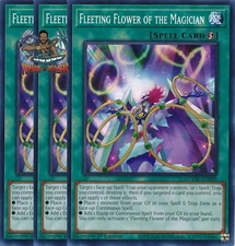 Yugioh! 3x Fleeting Flower of the Magician DOOD-EN089 Common 1st Ed NM