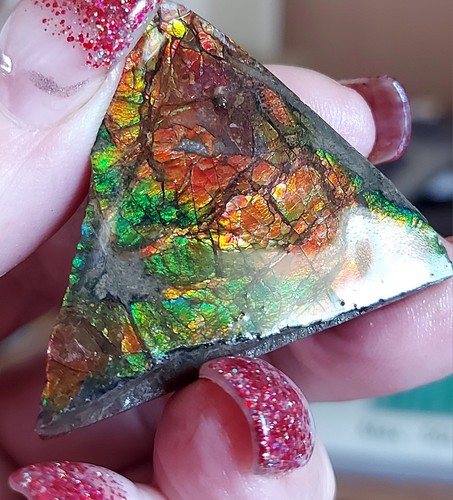 Ammolite Ammonite tabletop Display Piece 39.8x40x15.8mm #12612 - Picture 3 of 4