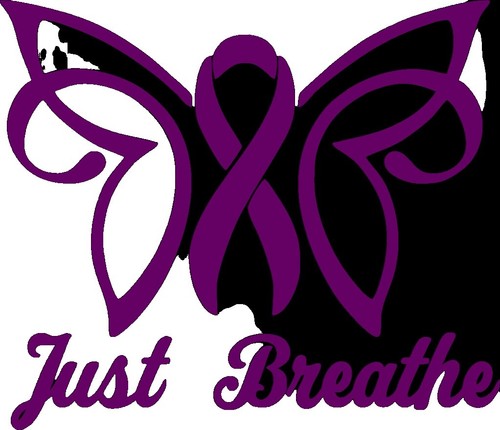 Butterfly Car Stickers And Decals