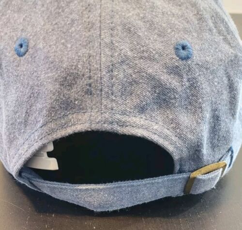 FSU Alpha Delta Pi Sombrero Florida State University Papá Sombrero Gorra Gris Azul Ajustable - Imagen 3 de 5