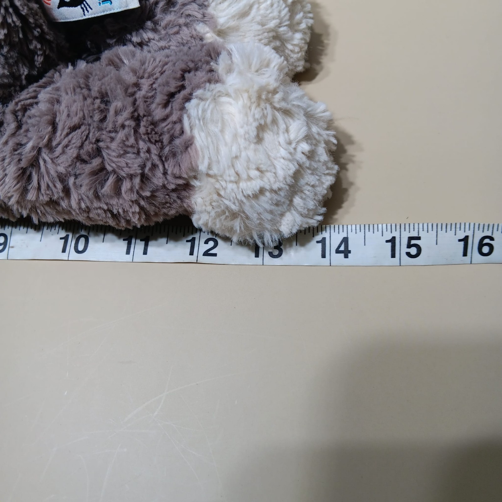 Foto 11 di 11