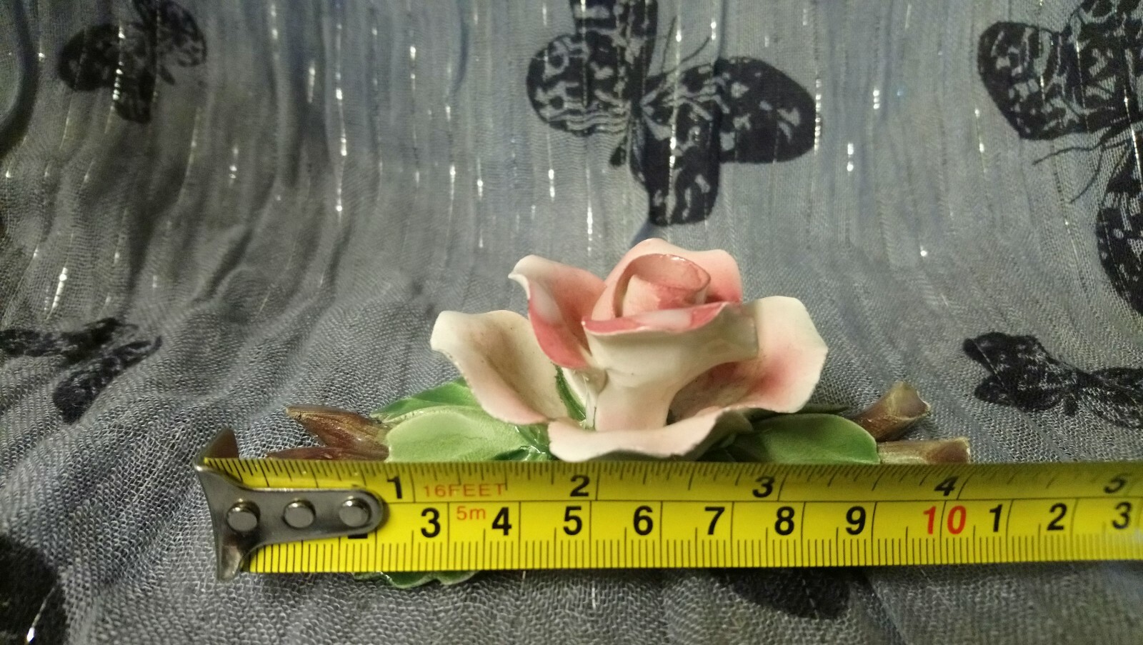 Picture 7 of 11