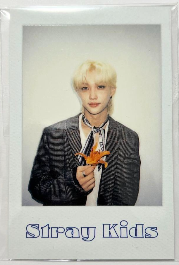 Stray Kids SKZ FELIX Season's Greetings 2022 Official Polaroid