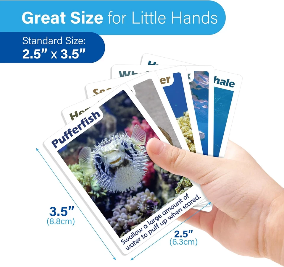 Go Fish Card Game for Kids, 104 Cards, Ocean Theme Memory Matching Game, Sea Ani - Image 3 of 4