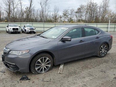 TLX       2017 Jack 12575324