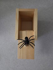 Spider in a Box Prank by FunFamz
