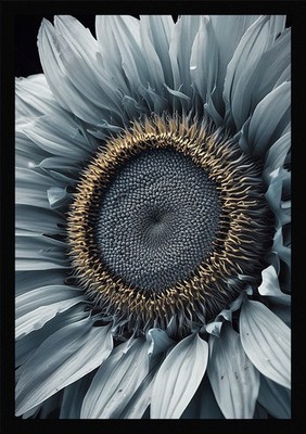 Dramatische Sonnenblumen gerahmtes Wandbild Poster Leinwanddruck Bild