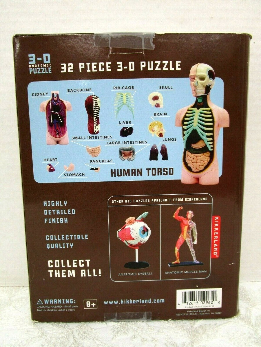 人体模型 KIKKERLAND ANATOMIC PUZZLE HUMAN TORSO Kikkerland Anatomic Model Human Torso 3D Anatomic Puzzle