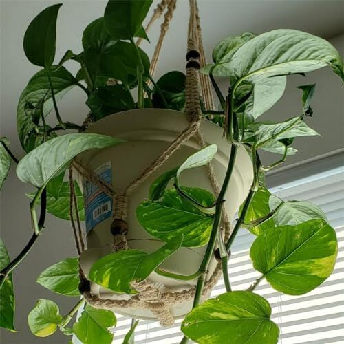 Macrame Plant Hanger Indoor Hanging Plant Holder Hanging Planter Basket with - Bild 5 von 7