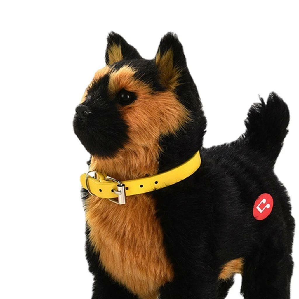 Battery powered on sale dog ball