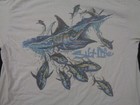 Picture 3 of 7
