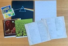 Pink Floyd 1973 Dark Side of the Moon + 1979 The Wall 1st press vinyl LP near mt