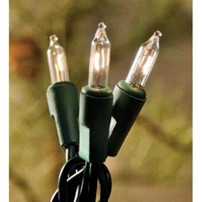Country  Farmhouse Clear White Strand Lights 10 Count Green Cord Incandescent