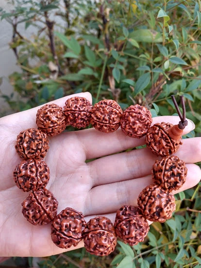 Tibetan Mala Sustainable Rudraksha Seed Wrist Mala Bracelet With Carved Om  Mani Conch Shell Spacer Free Silk Pouch - Etsy