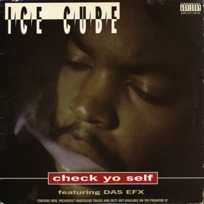 未開封 シールド ICE CUBE DAS EFX USオリジナル CHECK Ice Cube Featuring Das EFX / Check Yo Self 1993 US Priority