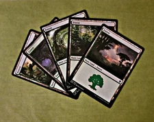 20 Forest Basic Lands MTG