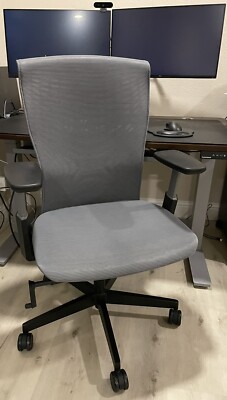 Autonomous ErgoChair Pro+ | Gray | Ergonomic Desk Chair