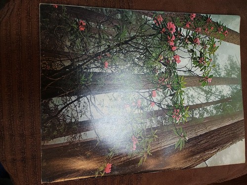 Vintage National Wildlife Magazine Aug/Sept 1979 Illustrated Give me a Home - Picture 12 of 12