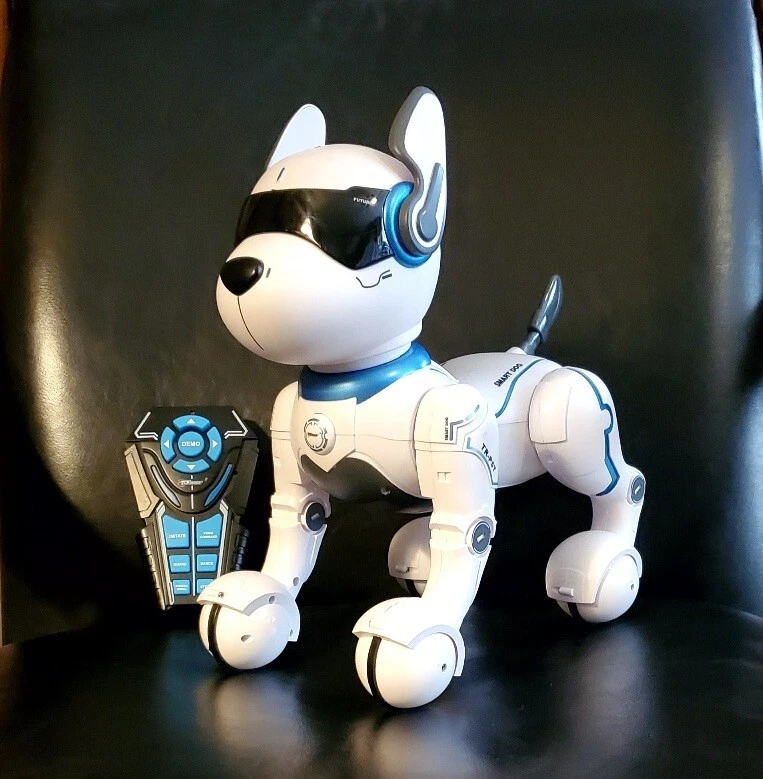 Top Race Remote Control Robot Dog Toy for Kids, Interactive & Smart Da