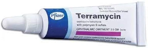 Order terramycin online