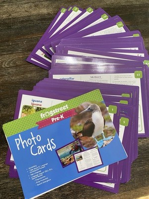 Frog Street Pre-K Program Cards Activity Photo Vocab English Spanish COMPLETE
