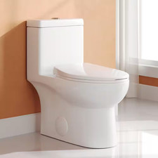 Ally 1-Piece 1.1/1.6 GPF Dual-Flush Elongated Toilet in Glossy White with Comfor