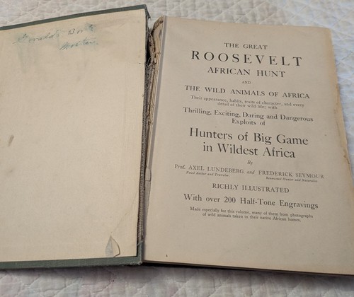 1910 THE ROOSEVELT AFRICAN HUNT and WILD ANIMALS of AFRICA Engravings Illustrate - Picture 3 of 11