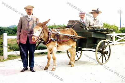 COL1040 - Taking a ride in a donkey cart - Print 6x4