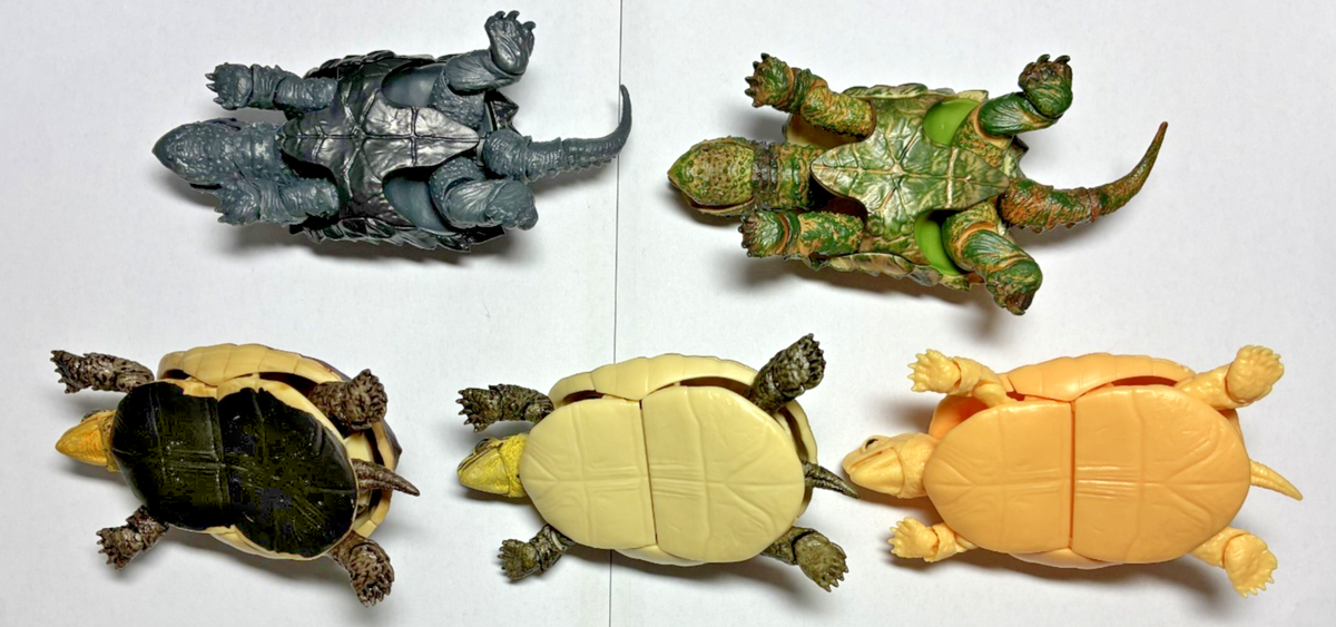 Alligatore tartaruga a scatto a piedi (Macrochelys temminckii) è uno