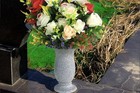 Bild 6 von 7